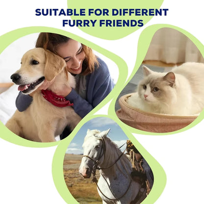 RedGlow Pet Therapy Pad – Veterinary-Grade Pain Relief for Dogs