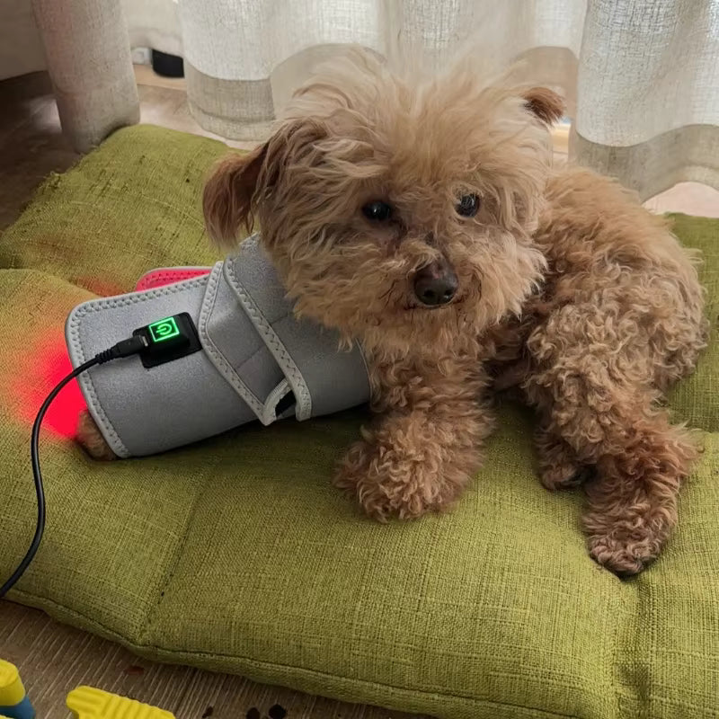 RedGlow Pet Therapy Pad – Veterinary-Grade Pain Relief for Dogs