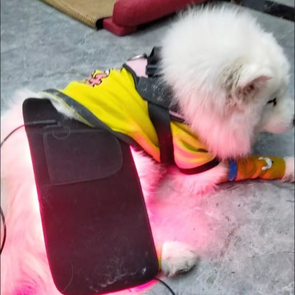 RedGlow Pet Therapy Pad – Veterinary-Grade Pain Relief for Dogs