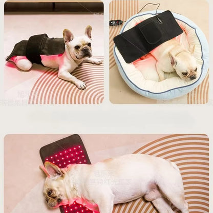 RedGlow Pet Therapy Pad – Veterinary-Grade Pain Relief for Dogs