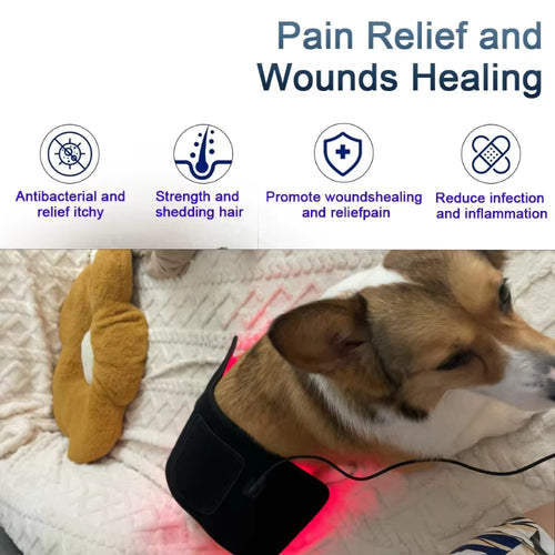 RedGlow Pet Therapy Pad – Veterinary-Grade Pain Relief for Dogs